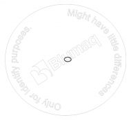 1616149 SEAL O-RING / GIOĂNG LÀM KÍN (6V8398)