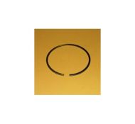 RING-PISTON(INTERMEDIATE) 1979353 
