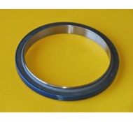 carnkshaft seal 2223910