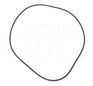 2R0098 SEAL O RING / GIOĂNG LÀM KÍN