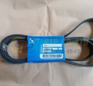 8PK2160 BELT / DÂY CURO ( 3748479) parts 324D, 324D FM, 324D FM LL, 324D L, 325D, 325D FM, 325D FM L
