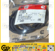 3906698 Seal, Rectangular Ring / Gioăng Làm Kín