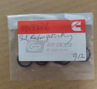 3909356 SEAL, RECTANGULAR RING / GIOĂNG LÀM KÍN