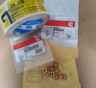 3923261 SEAL, INJECTOR/ GIOĂNG LÀM KÍN