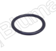 4F9029 SEAL O-RING / GIOĂNG LÀM KÍN