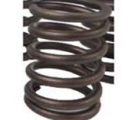 LÒ XO XUPÂP 4N5906