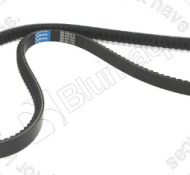 CU178578 BELT / DÂY CUROA (CV ngoài 180 cm)