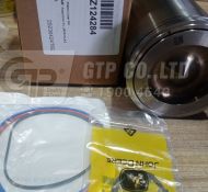 DZ124284 PISTON-LINERKIT  / BỘ PISTON, XYLANH, XÉC MĂNG (DZ10211, RE545266)