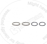 VO11994428 O-RING KIT / BỘ GIOĂNG LÀM KÍN