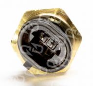 MTU Temperature Sensor